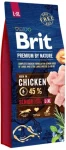 Brit Premium By Nature Senior
