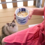 Bella Rose Porcelánový hrnček Bydlím u své kočky 270 ml