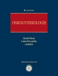 Onkogynekologie, Cibula David