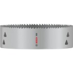 Bosch Accessories 2608901545 2608901545 vŕtacia korunka 168 mm 1 ks; 2608901545