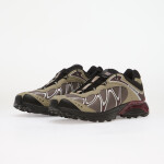 Tenisky Salomon XT-WHISPER GTX Silves/ Huckle/ Maroob EUR 45 1/3