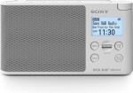 SONY XDR-S41DW