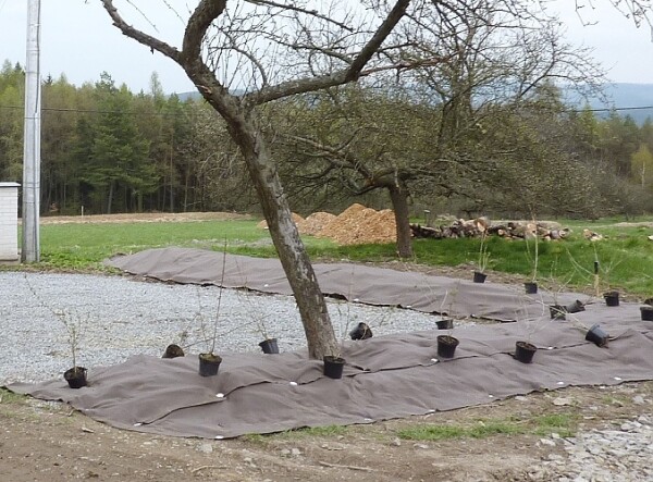 Rozložiteľná ekotextília zo 100% biomasy (s prírodnými vláknami) – Agrotex EKO+  - 157 g/m² 2×50 m [100 m²]