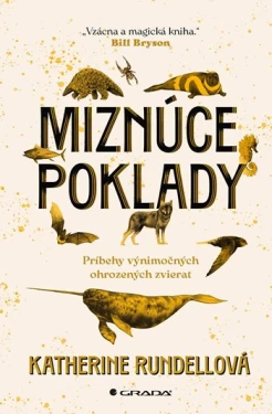 Miznúce poklady, Rundell Katherine