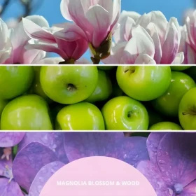Millefiori Milano Magnolia Blossom Wood staroružová / Vonný difuzér / 100 ml (77MDMW)