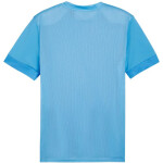 Puma teamGoal Matchday Jersey M 705747 18 muži L