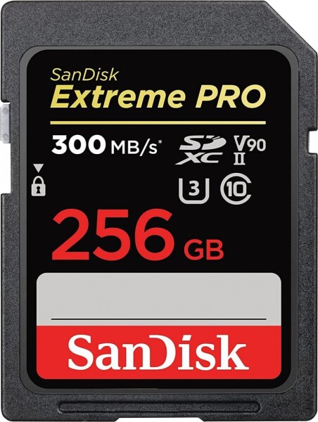 SanDisk Extreme PRO SDXC Class 10 (SDSDXDK-256G-GN4IN)