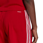 Squadra 21 Short Women GN5783 Adidas