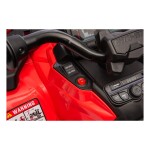 Mamido Detská elektrická štvorkolka Can-Am Outlander ATV 4x200W červená