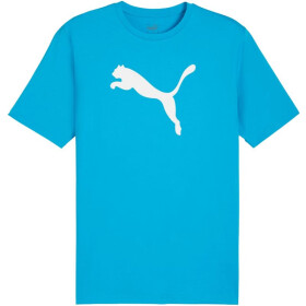 Puma Team Rise Logo Jersey Cotton M 658705 02 Muži M