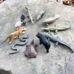 Safari Ltd. Safari Ltd. Tuba - Národný park Everglades