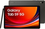 Samsung Tablet Samsung Galaxy Tab S9 5G 8GB/128GB Sivý