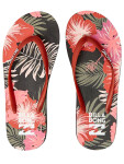 Billabong DAMA HAWAII