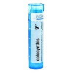 PHOSPHORICUM ACIDUM CH9 granule 4 g