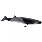 Safari Ltd. Safari Ltd. Figúrka - Vráskavec minke