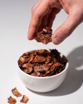 Vilgain Kokosové chipsy BIO – kakao 40 g