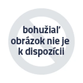 Poškodený obal - LEGO® Botanicals 10314 Dekorácia zo sušených kvetov