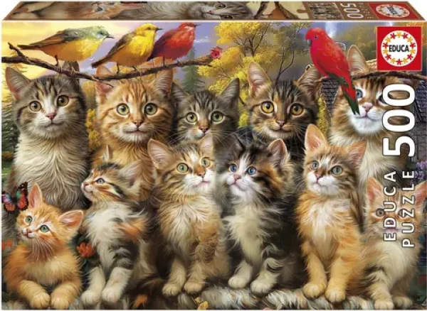 Educa Puzzle Mačky a vtáky