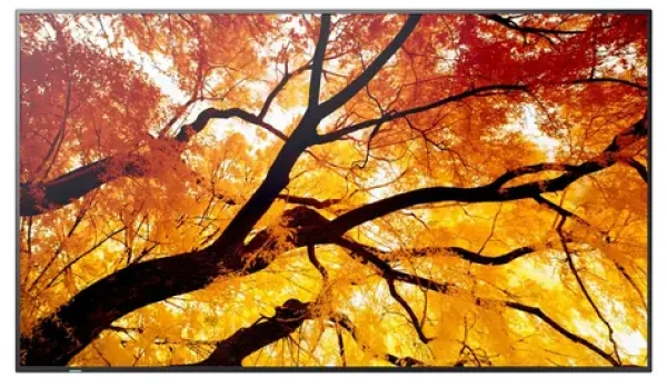 50" Sharp M502 čierna / VA / 3840 x 2160 / 16:9 / 8 ms / 8000:1 / 550cd-m2 / VESA (60006054)