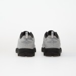 Tenisky Mizuno Wave Daichi Ls (U) Dawn Blue/ Silver/ Harbor Mist EUR 46