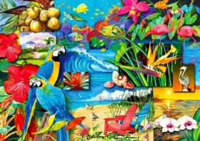 ENJOY Puzzle Tropické poklady