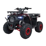 Mamido Detská benzínová štvorkolka RamiGO DISCOVERER 125CC čierno-červená