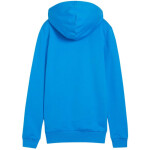 Puma Team Goal Casuals Hoody W 658621 02 M