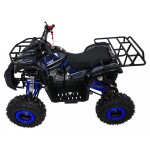 Mamido Detská benzínová štvorkolka RamiGO WILDPEAK 110CC čierno-modrá