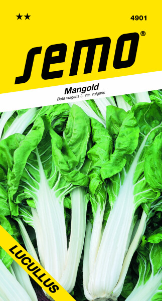 SEMO Mangold LUCULLUS