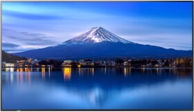 NEC MODEL PN-P656, 65" P-Series Large Format Display, UHD, 700cd/m2, D-LED backlight, 24/7 proof, SDM Slot, CM-Slot