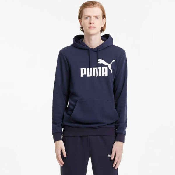 Puma Essential Big Logo Hoodie TR 586688 06 mikina kapucňou