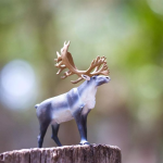 Safari Ltd. Safari Ltd. Sob polárny