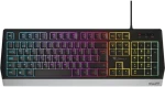 Genesis Rhod 300 RGB / Herná klávesnica / RGB podsvietenie (NKG-1817)