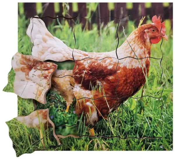 Just Jigsaws 640 Sliepky a jej životný cyklus - drevené vrstvené puzzle