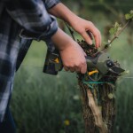 Elektrické nožnice ALPEN Wildhorn 32 komplet s powerpackom a 3 batériami