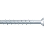 Fischer 536887 Concrete screw 10 mm 100 mm TX 50 ks; 536887