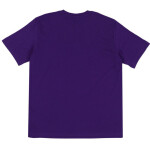 Pánske tričko Champion SS Tee M 220264 VS025 L
