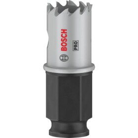 Bosch Home and Garden 2608594439 2608594439 vŕtacia korunka 19 mm 1 ks; 2608594439