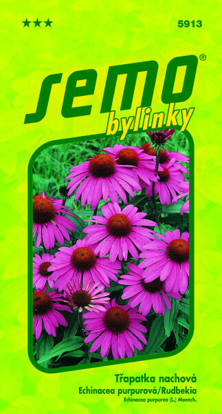 SEMO Echinacea purpurová