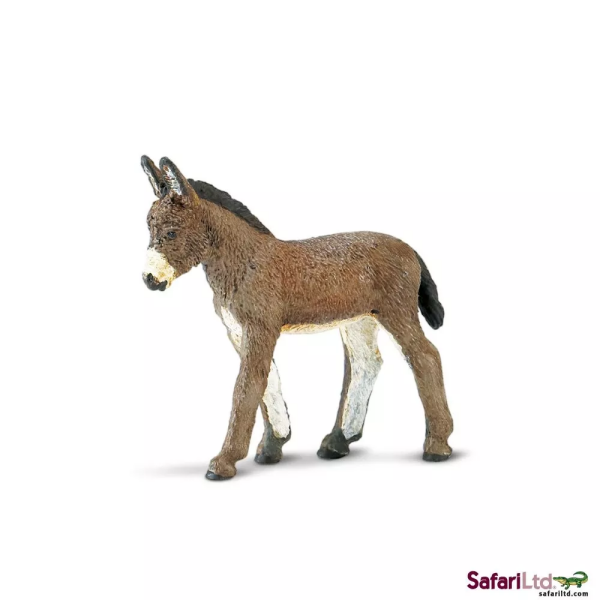 Safari Ltd. Safari Ltd. Oslie žriebä