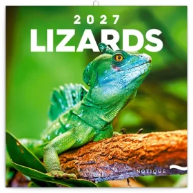 NOTIQUE Poznámkový kalendár Jašteri 2027, 30 x 30 cm (PGP-36826-V)