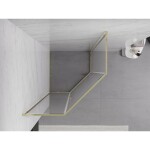 MEXEN - Exo sprchovací kút päťboký krídlový 100 x 100, transparent, zlato 812-100-100-50-00