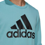 Adidas Essentials Big Logo mikina M H12163 muži 2XL