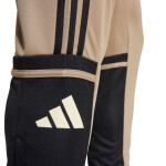 Nohavice adidas Squadra 25 Training M JP3374 L