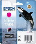 Epson Epson ink cartridge vivid magenta T 7603 N