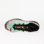 Tenisky Salomon XT-6 GTX Lichen/ Nocturne/ Claqua EUR 45 1/3