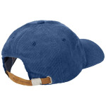 Helly Hansen HH Graphic Cap 48146 636 Univerzální
