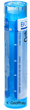 APIS MELLIFICA 9CH granule 4 g