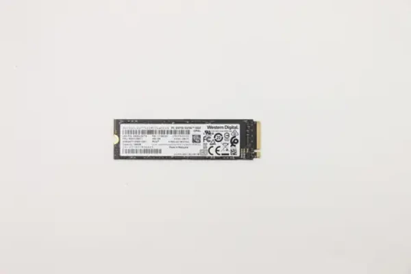 Lenovo 256GB / SSD / M.2 / PCIe 3.0 x4 / Interné (5SS0V26411)