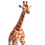 Safari Ltd. Safari Ltd. Žirafa sieťovaná